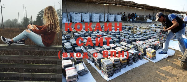 кокс Баксан