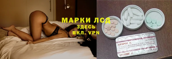 кокс Баксан