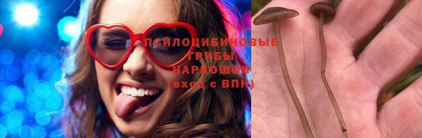 кокс Баксан