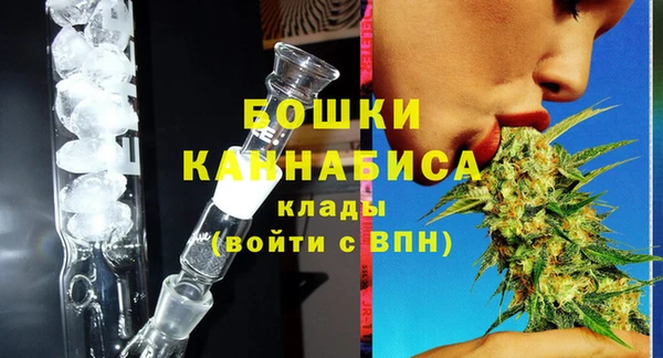 PSILOCYBIN Балабаново