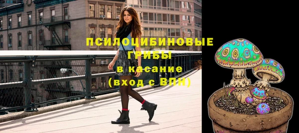 кокс Баксан