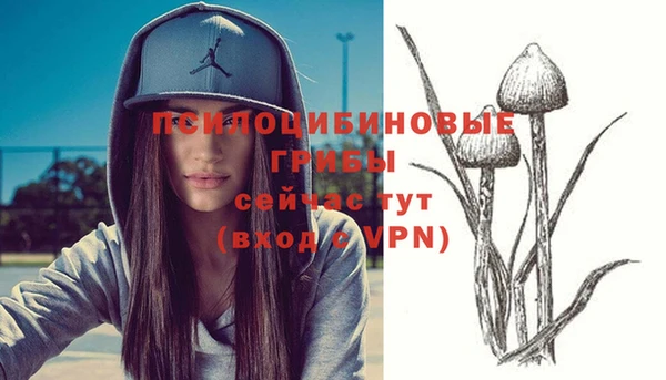 PSILOCYBIN Балабаново