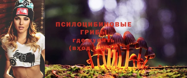 PSILOCYBIN Балабаново
