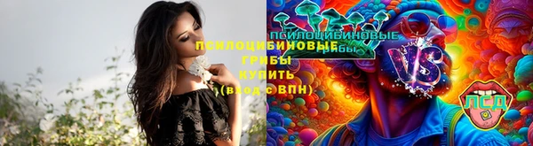 PSILOCYBIN Балабаново
