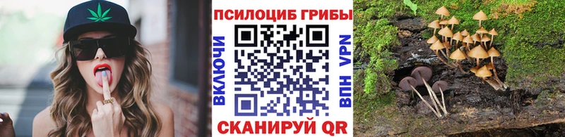 Псилоцибиновые грибы Cubensis  Красный Сулин 